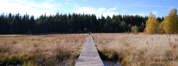 PLATEAU DE CHARPAL