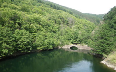 LAC DE ROUJANEL