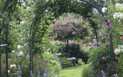 LE JARDIN DU TOMPLE