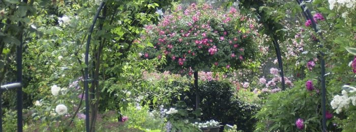 LE JARDIN DU TOMPLE