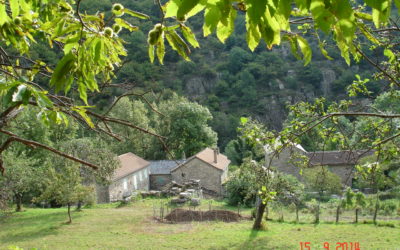 CHARRAIX COTTAGE