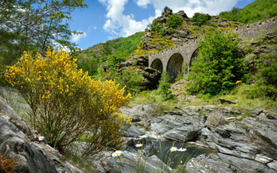 GORGES DU TARN, CEVENNES & MONT LOZERE