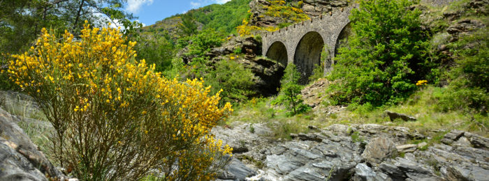 GORGES DU TARN, CEVENNES & MONT LOZERE