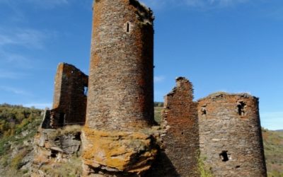 CASTLE OF TOURNEL