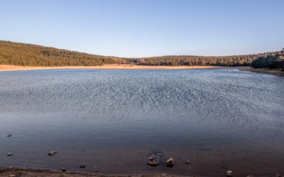 ETANG DE BARRANDON