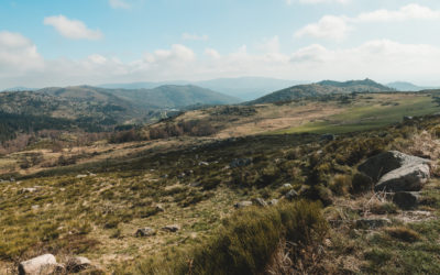 LE MONT-LOZERE