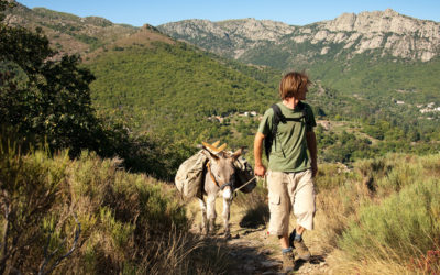 Le Parc National des Cévennes