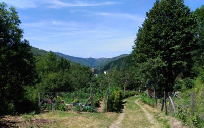 LES JARDINS EN PARTAGE