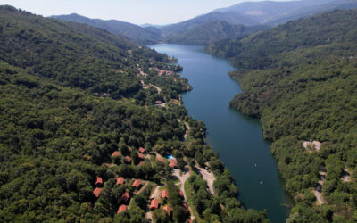 LES CHATAIGNIERS DU LAC